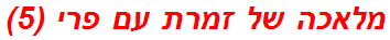 מלאכה של זמרת עם פרי (5)