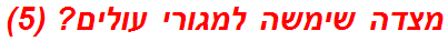 מצדה שימשה למגורי עולים? (5)