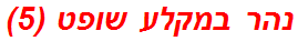 נהר במקלע שופט (5)