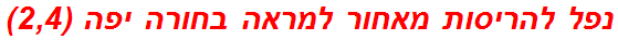 נפל להריסות מאחור למראה בחורה יפה (2,4)