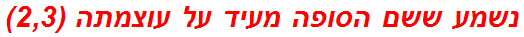 נשמע ששם הסופה מעיד על עוצמתה (2,3)