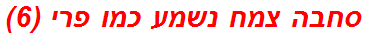 סחבה צמח נשמע כמו פרי (6)