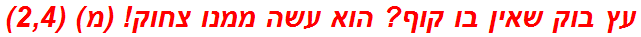 עץ בוק שאין בו קוף? הוא עשה ממנו צחוק! (מ) (2,4)