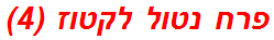 פרח נטול לקטוז (4)