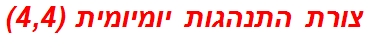 צורת התנהגות יומיומית (4,4)