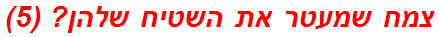 צמח שמעטר את השטיח שלהן? (5)