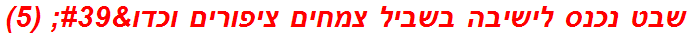 שבט נכנס לישיבה בשביל צמחים ציפורים וכדו' (5)