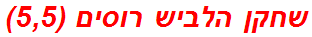 שחקן הלביש רוסים (5,5)