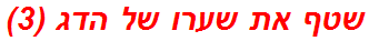 שטף את שערו של הדג (3)