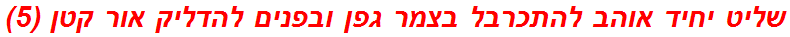 שליט יחיד אוהב להתכרבל בצמר גפן ובפנים להדליק אור קטן (5)