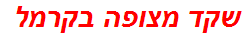 שקד מצופה בקרמל