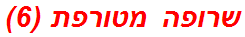 שרופה מטורפת (6)