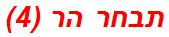 תבחר הר (4)