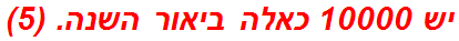 יש 10000 כאלה ביאור השנה. (5)